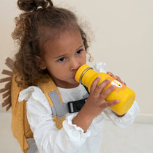 Lade das Bild in den Galerie-Viewer, Trinkflasche 350ml - Mr. Lion