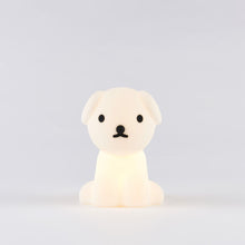 Lade das Bild in den Galerie-Viewer, Snuffy First Light