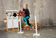 Lade das Bild in den Galerie-Viewer, Steckenpferd Springstange