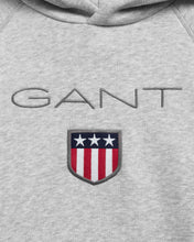 Lade das Bild in den Galerie-Viewer, Retro Shield Hoodie - grau