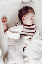 Lade das Bild in den Galerie-Viewer, Kuschelhund - Beige ohne Stick