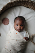 Lade das Bild in den Galerie-Viewer, Swaddle - Dinosaurier