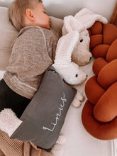 Lade das Bild in den Galerie-Viewer, Kuschelhund - Grau mit Stick