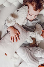 Lade das Bild in den Galerie-Viewer, Kuschelhund - Beige ohne Stick