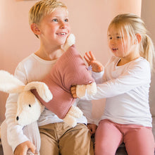 Lade das Bild in den Galerie-Viewer, Kuschelhund - Altrosa mit Stick