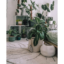 Lade das Bild in den Galerie-Viewer, Washable rug Monstera Natural