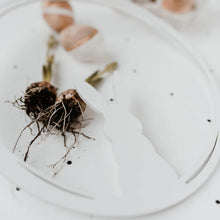 Lade das Bild in den Galerie-Viewer, Holzkranz Hase, weiß