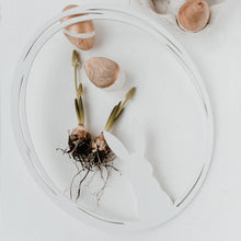 Lade das Bild in den Galerie-Viewer, Holzkranz Hase, weiß