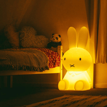 Lade das Bild in den Galerie-Viewer, Miffy Lampe - 80cm