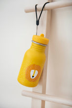 Lade das Bild in den Galerie-Viewer, Trinkflasche 350ml - Mr. Lion

