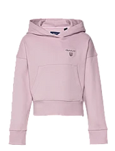 Lade das Bild in den Galerie-Viewer, GANT D2. Contrast Shield Hoodie
